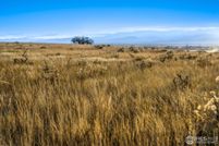 Undeveloped Land for sale in Weld County, Colorado