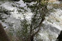 Land for sale in Baldwin County, Alabama