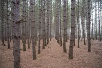 Land for sale in Adams County, Wisconsin