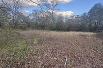 Land for sale in Monroe County, Alabama