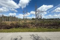 Undeveloped Land for sale in Pasco County, Florida