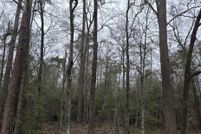 Land for sale in Jefferson County, Texas