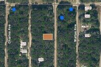Undeveloped Land for sale in Putnam County, Florida