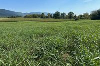 Undeveloped Land in Campbell County, Tennessee