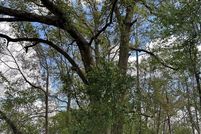 Land for sale in Marion County, Florida