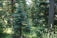 Land for sale in Valley County, Idaho