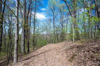 Land for sale in Gilmer County, Georgia