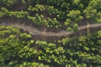 Undeveloped Land for sale in Perry County, Mississippi