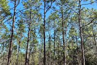 Land for sale in Marion County, Florida