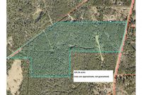 Undeveloped Land in Saint Tammany Parish, Louisiana