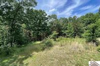 Undeveloped Land for sale in Calloway County, Kentucky