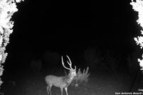 Land for sale in Edwards County, Texas