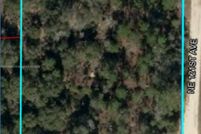 Land for sale in Levy County, Florida