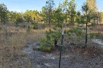 Undeveloped Land in Richmond County, North Carolina
