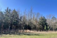 Land for sale in Titus County, Texas