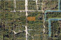 Undeveloped Land for sale in Volusia County, Florida