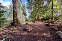 Undeveloped Land in Pierce County, Washington