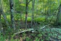 Land in Osceola County, Michigan