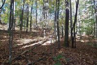 Homesite for sale in Polk County, North Carolina