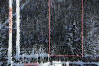 Undeveloped Land for sale in Southeast Fairbanks Borough, Alaska