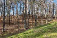 Land for sale in Gilmer County, Georgia