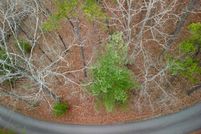 Land for sale in Union County, Georgia