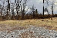 Undeveloped Land for sale in Clarke County, Virginia