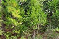 Land for sale in Macon County, Alabama