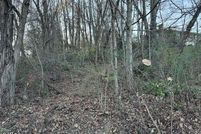 Undeveloped Land for sale in Washington County, Virginia