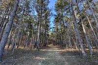 Undeveloped Land for sale in Williamsburg County, South Carolina