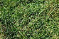 Farm and Ranch for sale in Douglas County, Missouri