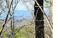 Farm and Ranch for sale in Union County, Georgia