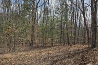 Undeveloped Land for sale in Albemarle County, Virginia