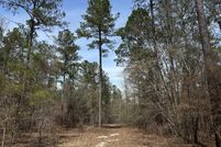 Undeveloped Land for sale in Aiken County, South Carolina