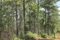 Land for sale in Randolph County, Alabama