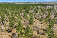 Horse Property for sale in Angelina County, Texas
