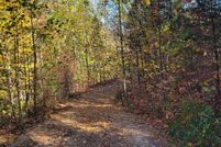 Undeveloped Land in Gilmer County, Georgia