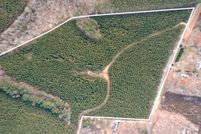 Undeveloped Land in Buckingham County, Virginia