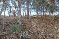 Land for sale in Madison County, Arkansas