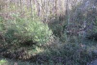 Timberland Property for sale in Walton County, Florida