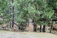 Undeveloped Land for sale in Tuolumne County, California