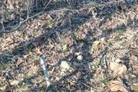 Land for sale in Ozark County, Missouri