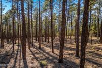 Land for sale in Navajo County, Arizona