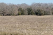Undeveloped Land for sale in Fannin County, Texas