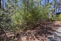 Undeveloped Land for sale in Smyth County, Virginia