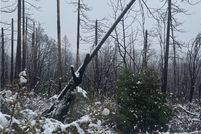 Land for sale in Butte County, California