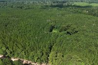 Land for sale in Amite County, Mississippi