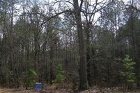 Undeveloped Land for sale in Elbert County, Georgia