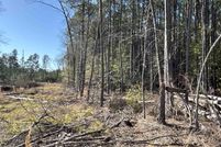 Undeveloped Land for sale in Dallas County, Arkansas