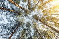 Land for sale in Polk County, Florida